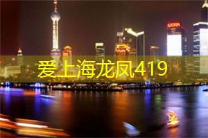 爱上海：形容霓虹灯夜景的词语