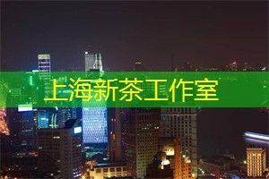 上海新茶工作室：迷雾中的诗情画意！上海新茶工作室带你领略品茶的浪漫氛围！